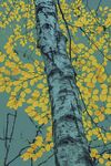 Maureen Tyrrell - Tree