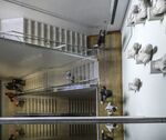 Miggy Wild - Ashmolean Escher style
