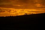 Neil Grantham - Time for sundowners