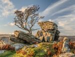 Richard Broadbent - Dartmoor
