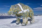 Nicky Westwood - 2 Arosa Bear Sanctuary sculpture at the top of the Weisshorn,Switz