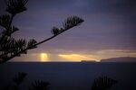 Paul Whitehead - Funchal