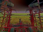 Daphne Lever - Plough
