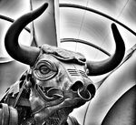 Paul Friend - Ozzy the Mechanical Bull