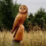 Maureen Robinson - Brown Owl