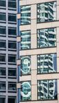 Maureen Tyrrell - Windows