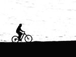 Miggy Wild - Cycle path