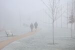 Paul Brewerton - Foggy morning Walk