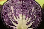 Paul Brewerton - Red Cabbage innards