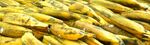 Pete Wild - Banana shoal