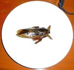 Ian Smith - Food #2