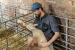 Jim Muller - Feeding the food
