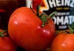 Paul Friend - Tomatoes Galore