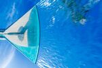Andrew Dayer - Blue Tuesday