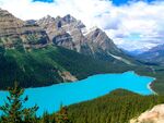 Jim Muller - Peyto Lake