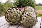 Colin - 2 - Artichokes.jpg