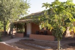 Colin - 3 - Namibian fruit.jpg